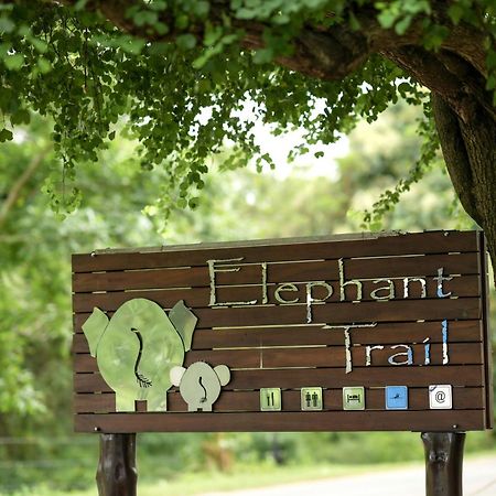 Elephant Trail Udawalawe Exteriér fotografie