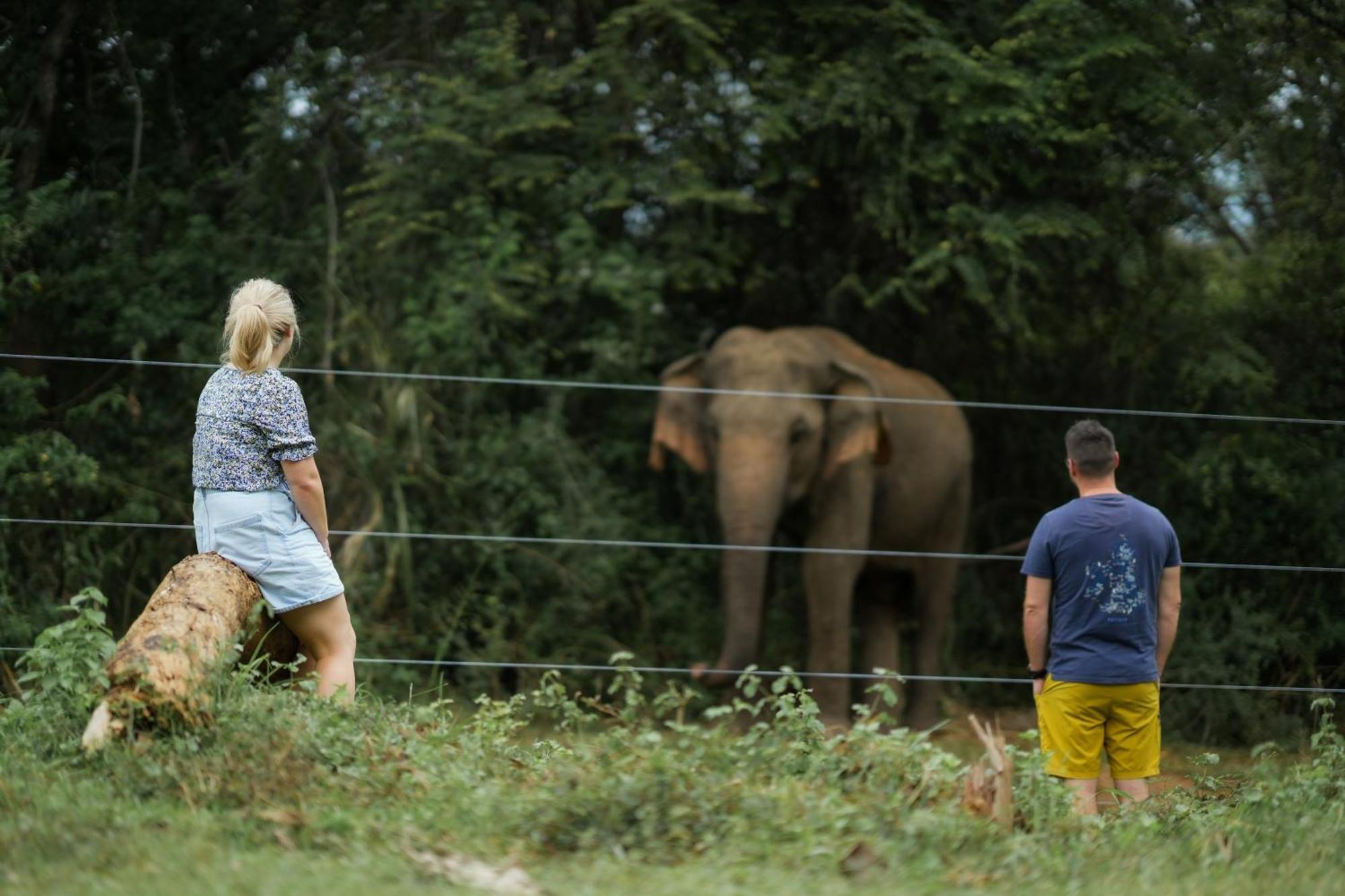 Elephant Trail Udawalawe Exteriér fotografie